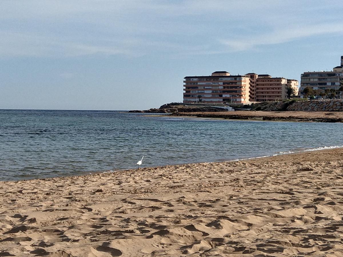 Ferienwohnung Torrevieja Zewnętrze zdjęcie
